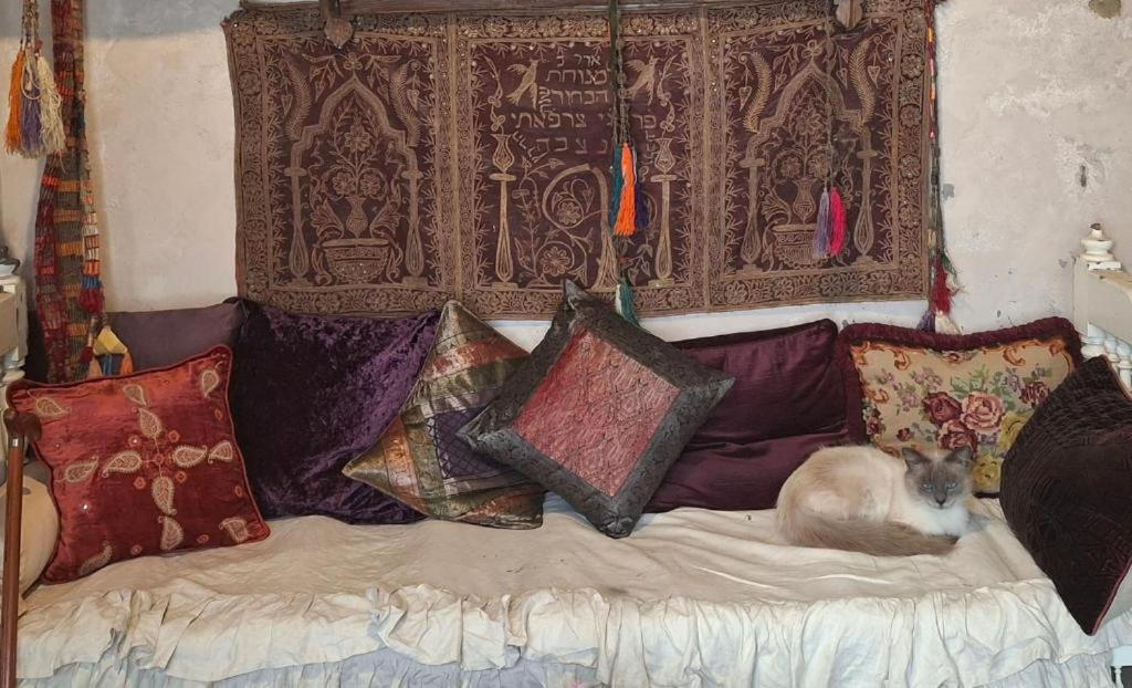 un gatto seduto sopra un letto con cuscini di Kenza a Sousse