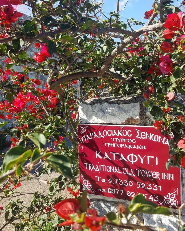 Zahrada ubytování Katafigi
