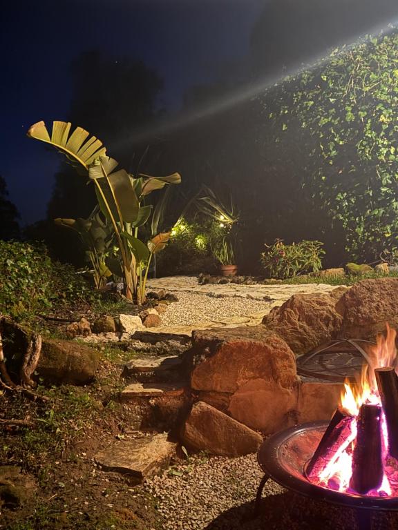 Nativo Natureza Pink Wood Cabin, Cela (tarifs actualisés, 2026)