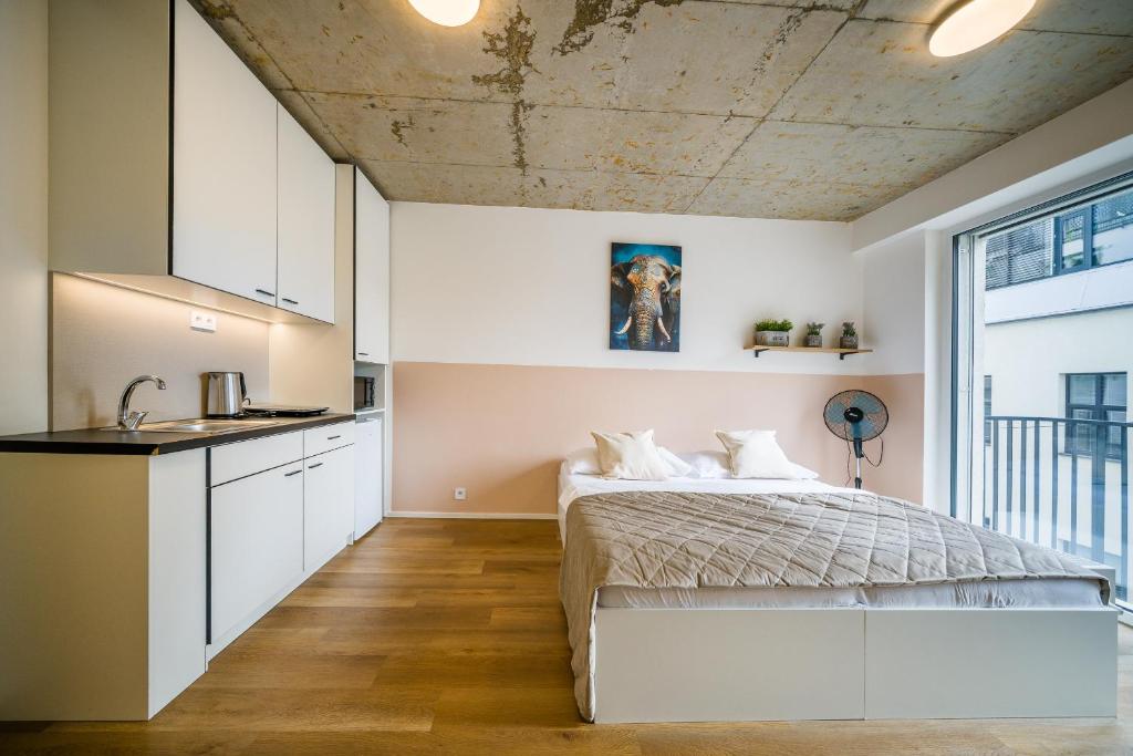 APARTIA Brno center - 5