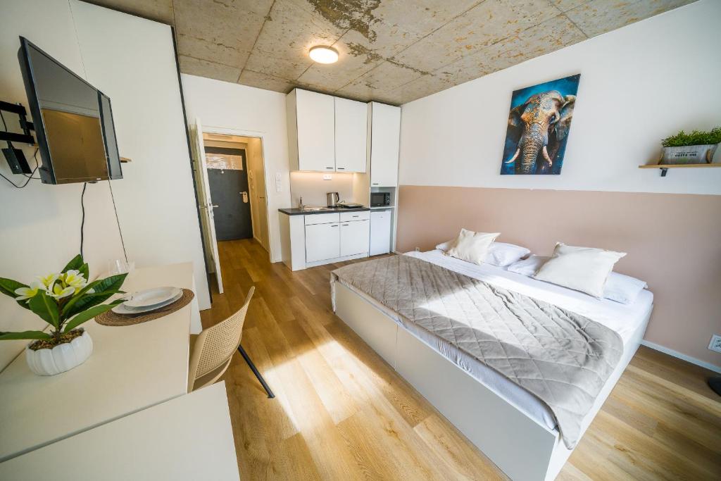 APARTIA Brno center - 1