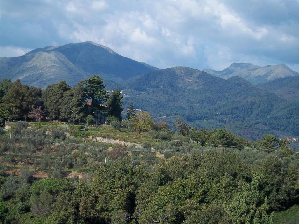 uma vista para uma serra com árvores e montanhas em Caddelovi em Fibbialla