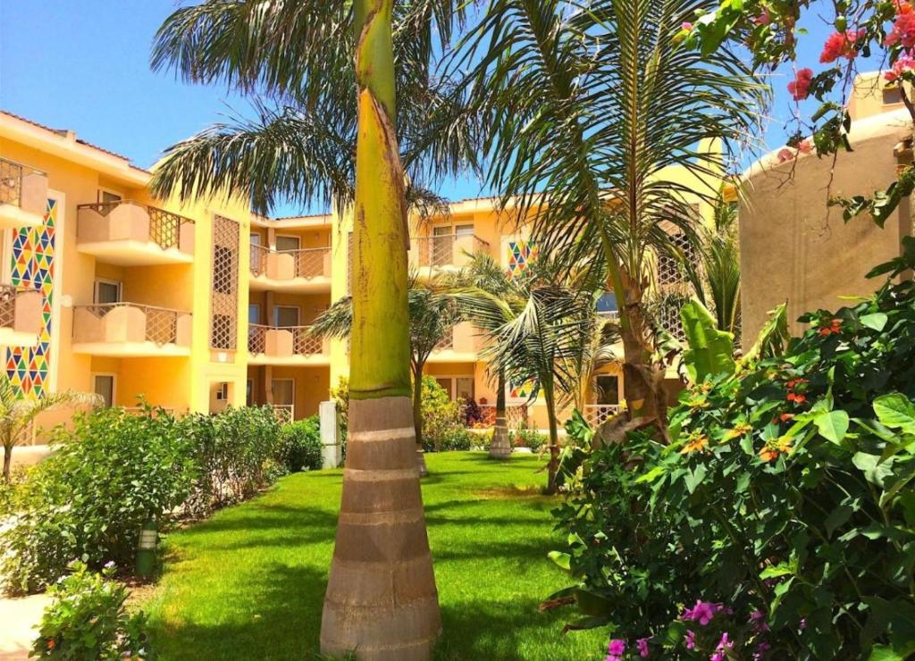 a palm tree in a yard in front of a building at Tropical Resort Pool View - Three Bedroom in Santa Maria