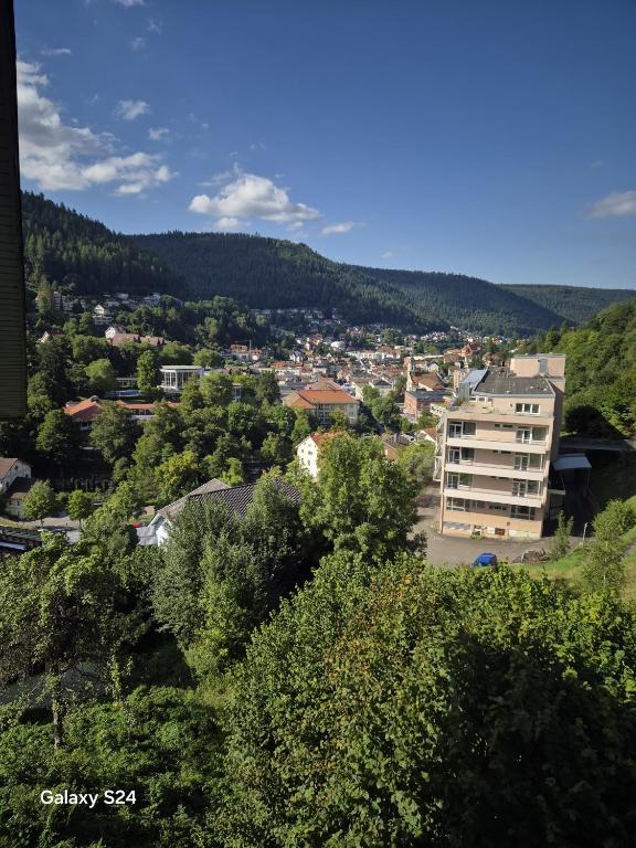 a view of a city with trees and a building at Ferienwohnung Ausblick in Bad Wildbad