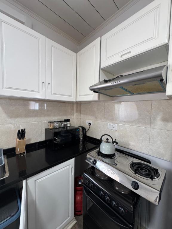 The Mallside Apartments - One-Bedroom Apartment