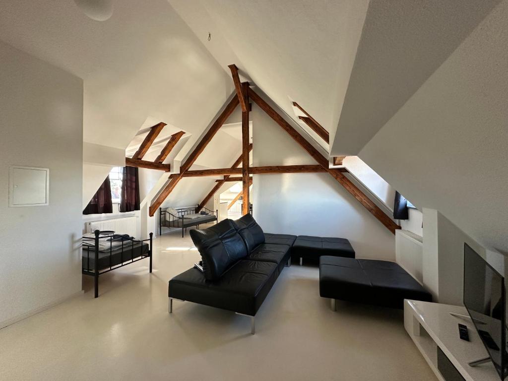 TV a/nebo společenská místnost v ubytování Apartmenthouse Singen