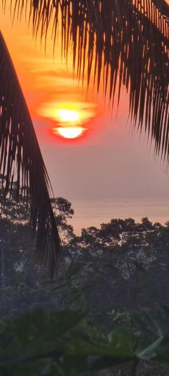 a sunset over the ocean with a palm tree at Villa Sumalee Sea' View in Koh Samui