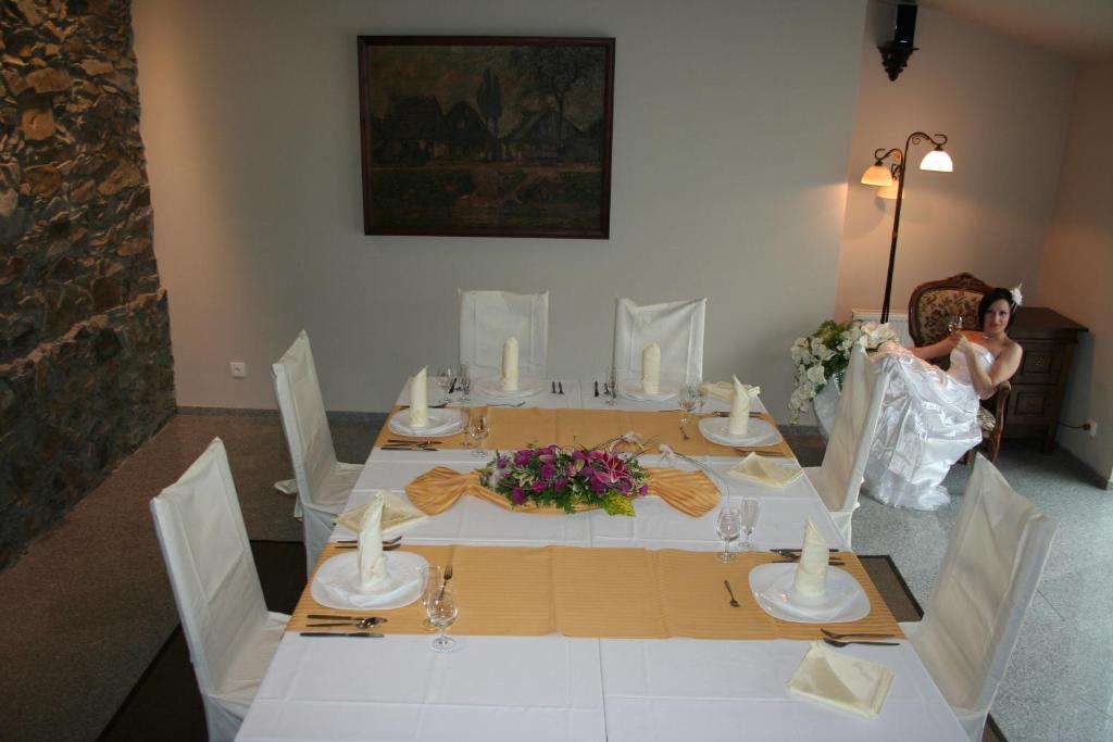 Fotografie z fotogalerie ubytování Alt pension v Praze