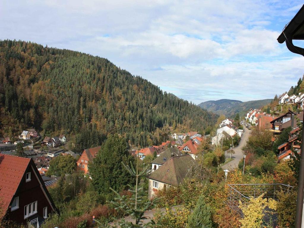 eine Stadt in den Bergen mit Häusern und Bäumen in der Unterkunft Ferienwohnung King in Triberg