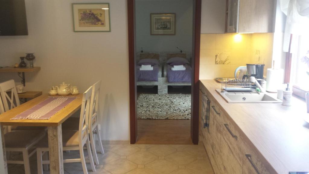 Kuchyňa alebo kuchynka v ubytovaní Apartament Leśna