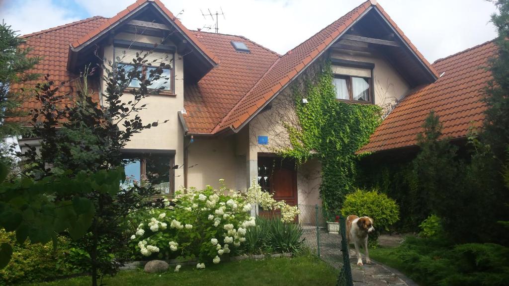 a dog standing in front of a house at Apartament Leśna in Giżycko