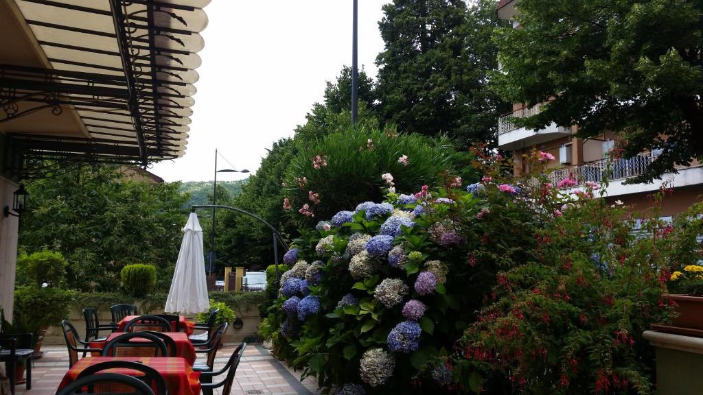 Zahrada ubytování Hotel Ambrosi