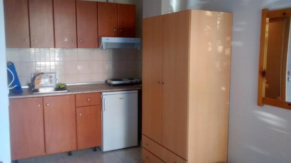 kuchnia z drewnianymi szafkami i białą zmywarką do naczyń w obiekcie Apartments Christina w mieście Nea Vrasna