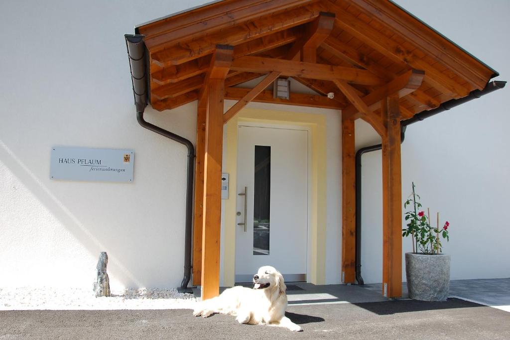 Haus Pflaum kisállat-vendégei