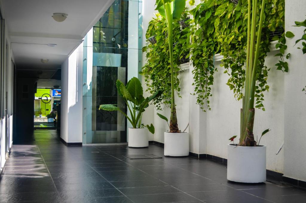 Fotografie z fotogalerie ubytování Hotel Or Cartagena v destinaci Cartagena