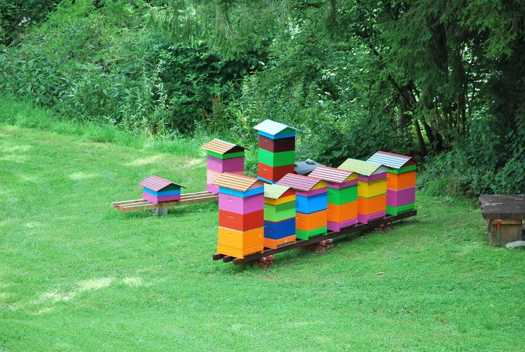 A garden outside Haus Pflaum