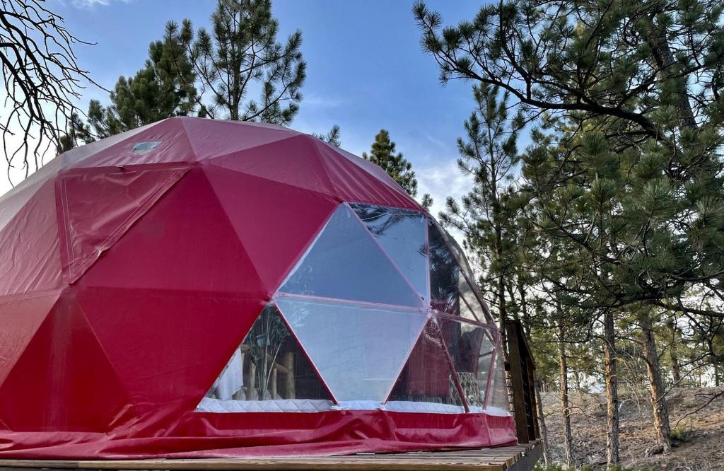 Gallery image of Amazing Dome with Incredible Forest Vistas in Hermosa, South Dakota in Hermosa