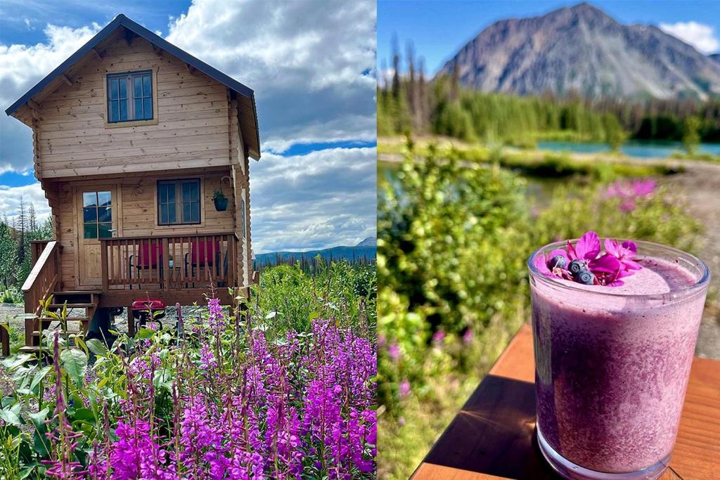 Picture of Eco-Friendly Lakefront Tiny House with Views of Panorama Mountain near ...