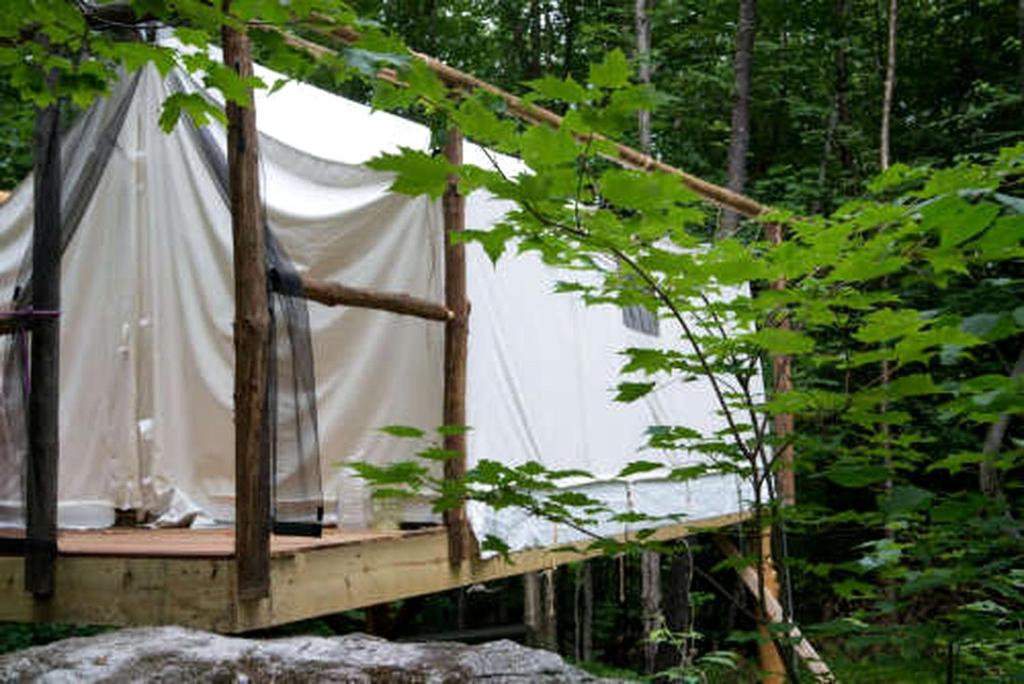 a tent in the middle of a forest at Treehouse-Style Tent Rental in the White Mountain National Forest of New Hampshire in Chatham