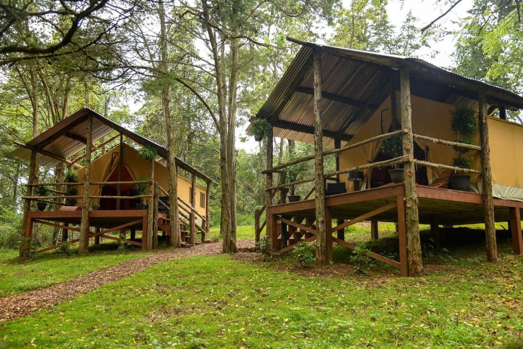 a couple of huts in the woods at Luxury Safari Style Tents for Getaways in Pennsylvania in East Berlin