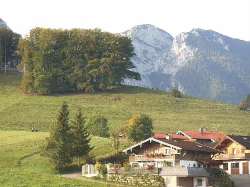 Naturlandskabet i nærheden af lejligheden