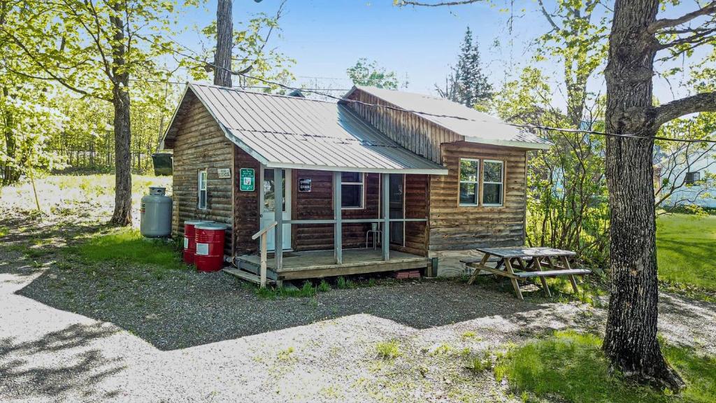 une petite cabane en bois avec une table de pique-nique et un banc dans l'établissement Portage Lakeside Cabins in Portage Lake, ME, à Portage Lake Municipal Seaplane Base