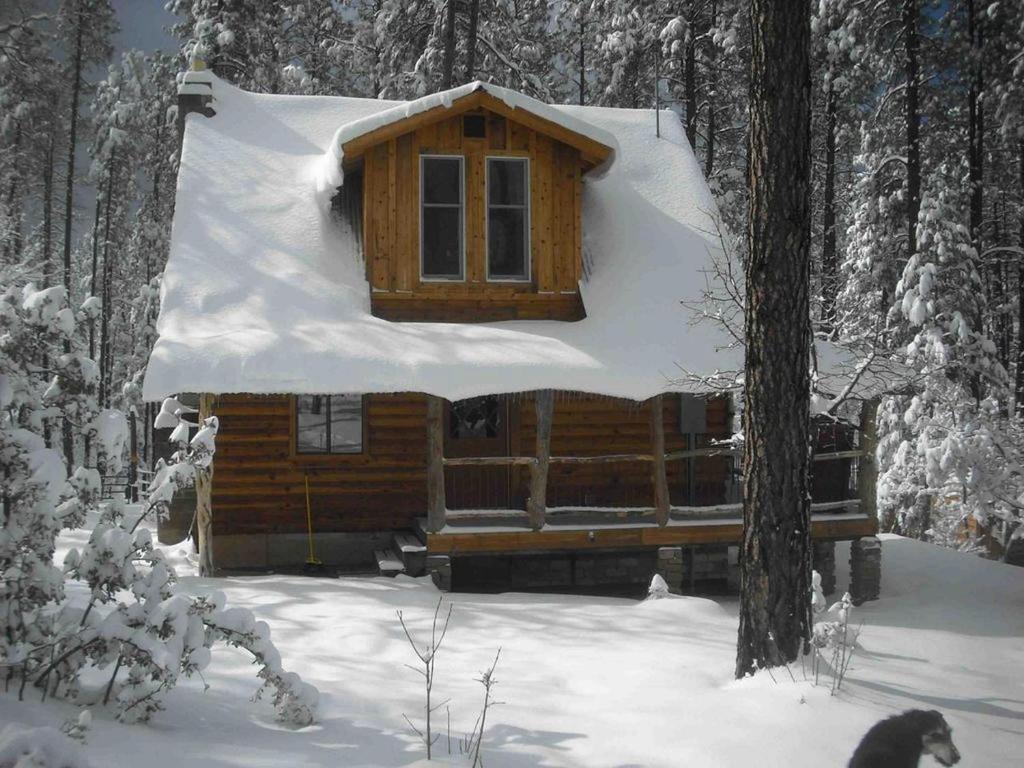 Το Rustic Cabin Rental near Tonto National Forest in Payson, Arizona τον χειμώνα