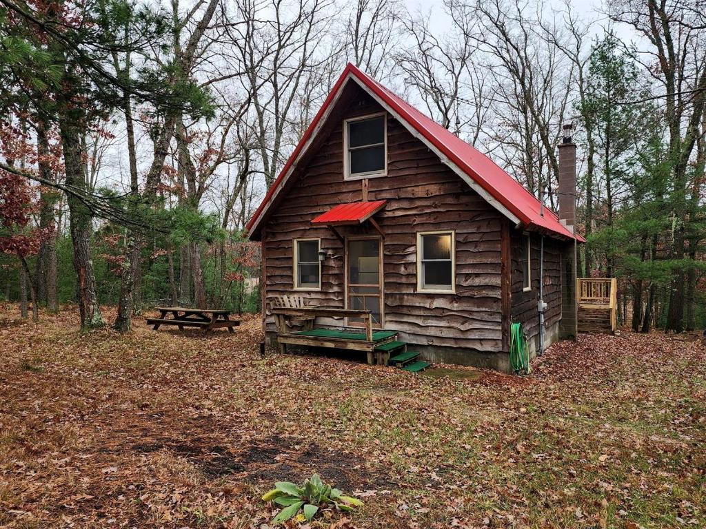 une petite cabine avec un toit rouge dans les bois dans l'établissement Secluded Luxury Cabin with Hot Tub on 10 Private Acres near Trails in Reed City, Michigan, à Idlewild