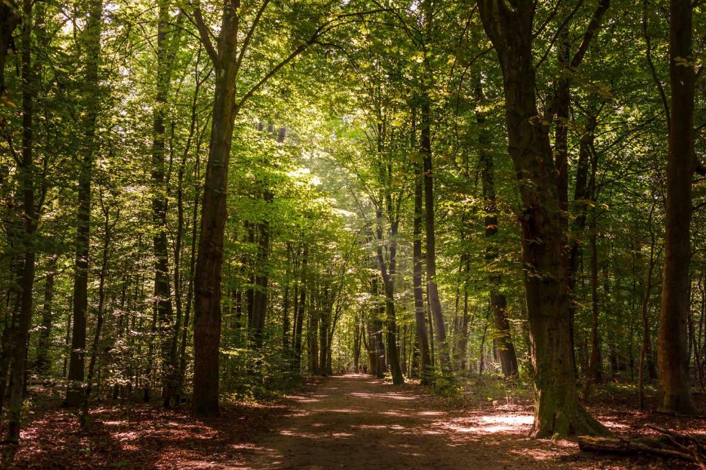 Hotel Business & More - Resim 29