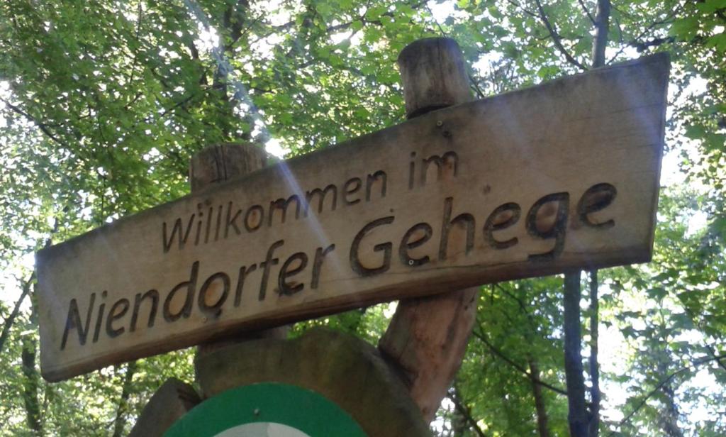 Hotel Business & More - Resim 27