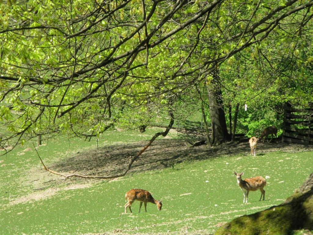 Hotel Business & More - Resim 28