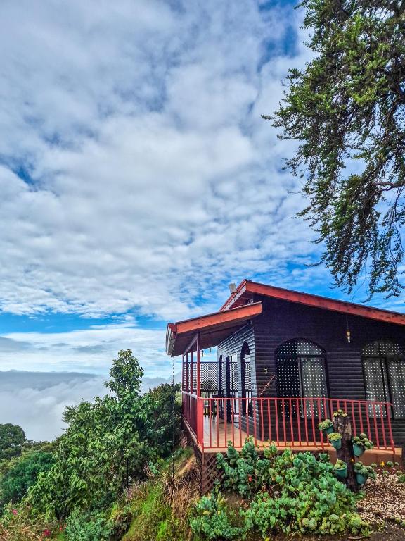 Landskap semula jadi dekat dengan lodge