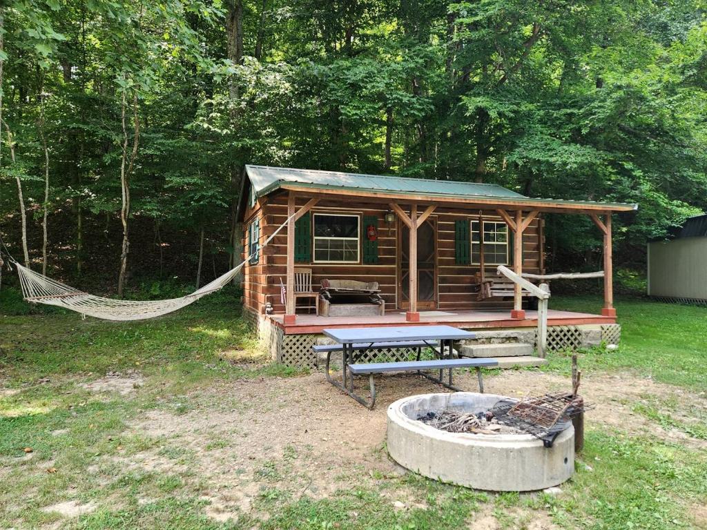 a log cabin with a hammock and a fire pit at Rural Cabin with Fire Ring Perfect for Outdoor Activities in Indiana in Stony Lonesome