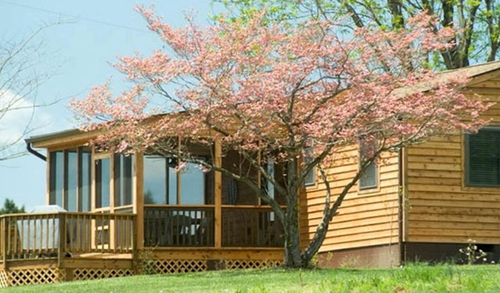 a wooden house with a tree in front of it at Charming Cottage Overlooking Gorgeous Citation Bass and Bream Pond near Charlottesville in Gordonsville