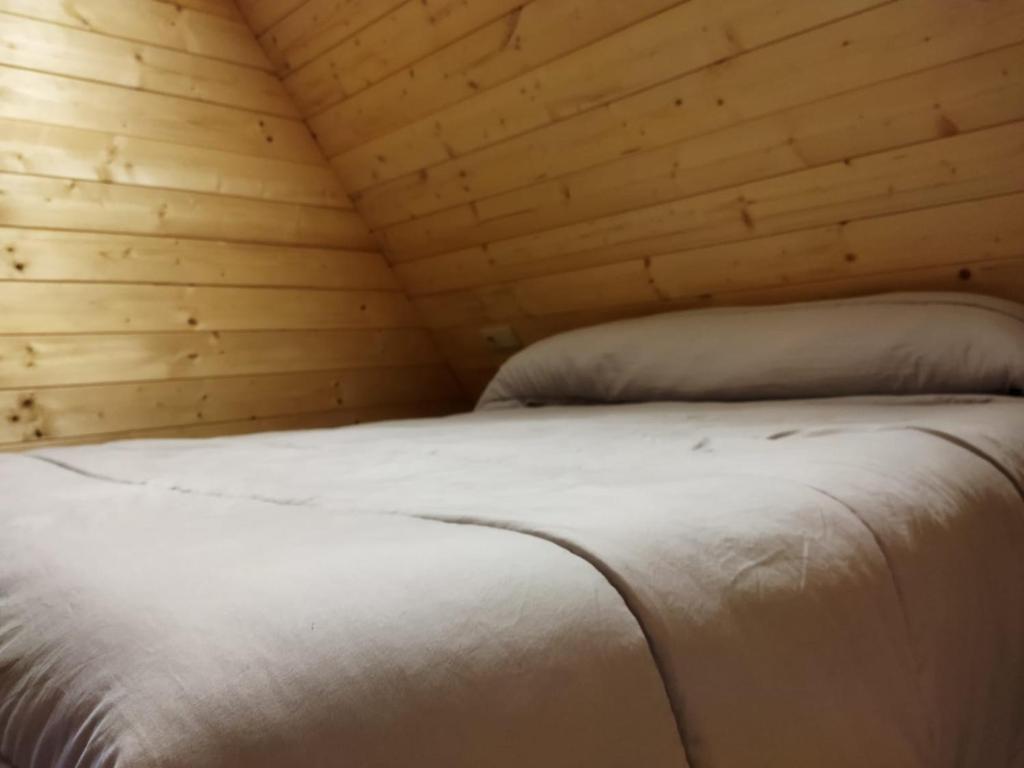 Camping Las Nogueras de Nerpio - Studio