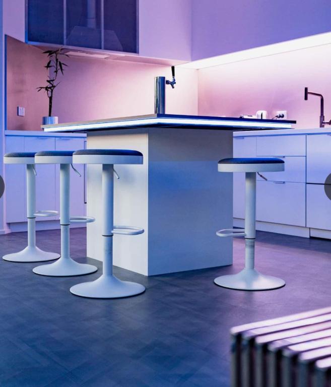 Entire 4 Room Boutique Hotel - Central Dunedin - Resim 8