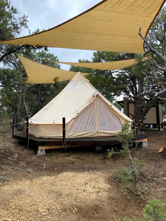 una gran tienda en un campo bajo un dosel en Secluded Bell Tent Nestled in the Pines in Duchesne, Utah, en Fruitland