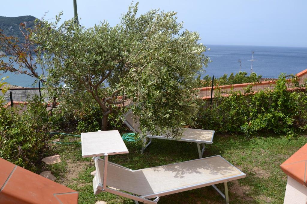 dos bancos sentados junto a un árbol y el océano en Campese Apartments, en Campese