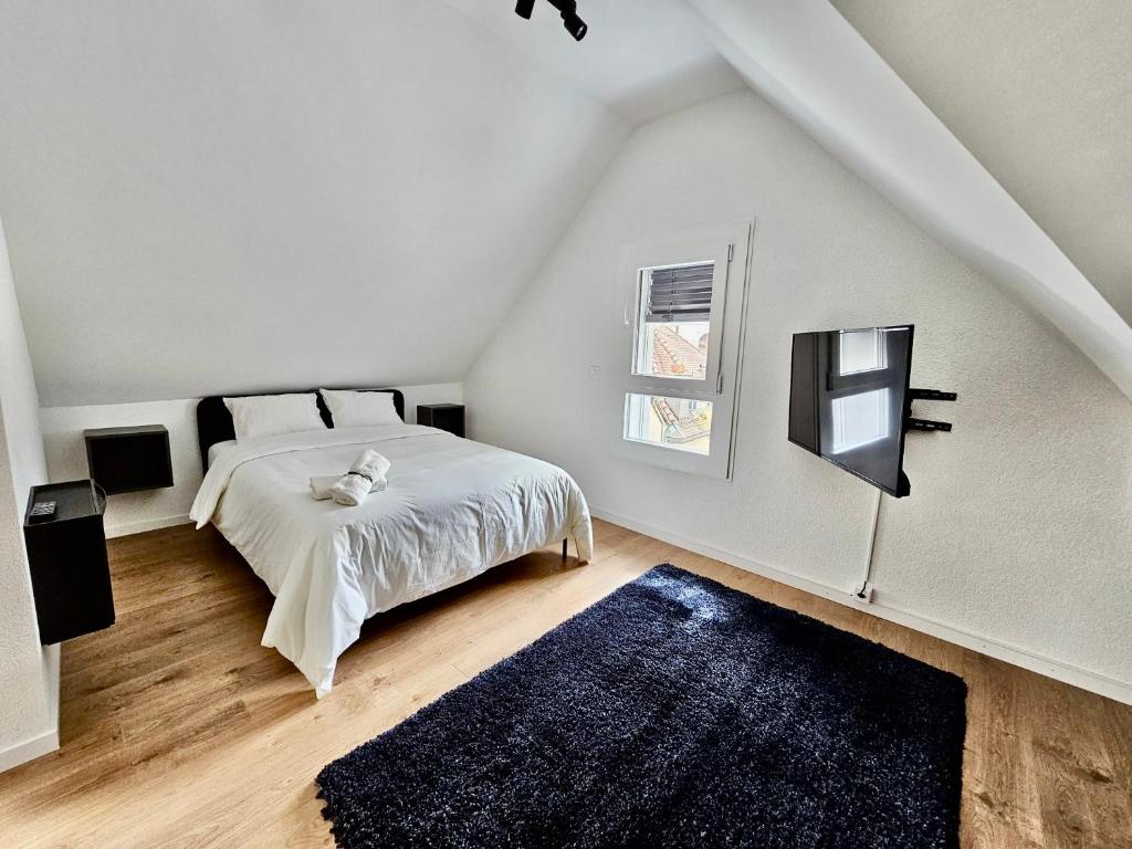 Cosy private room in Lausanne center - Resim 35