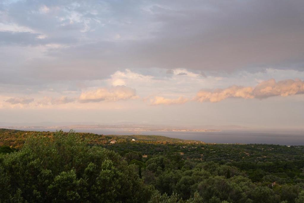 Příroda nedaleko apartmánu