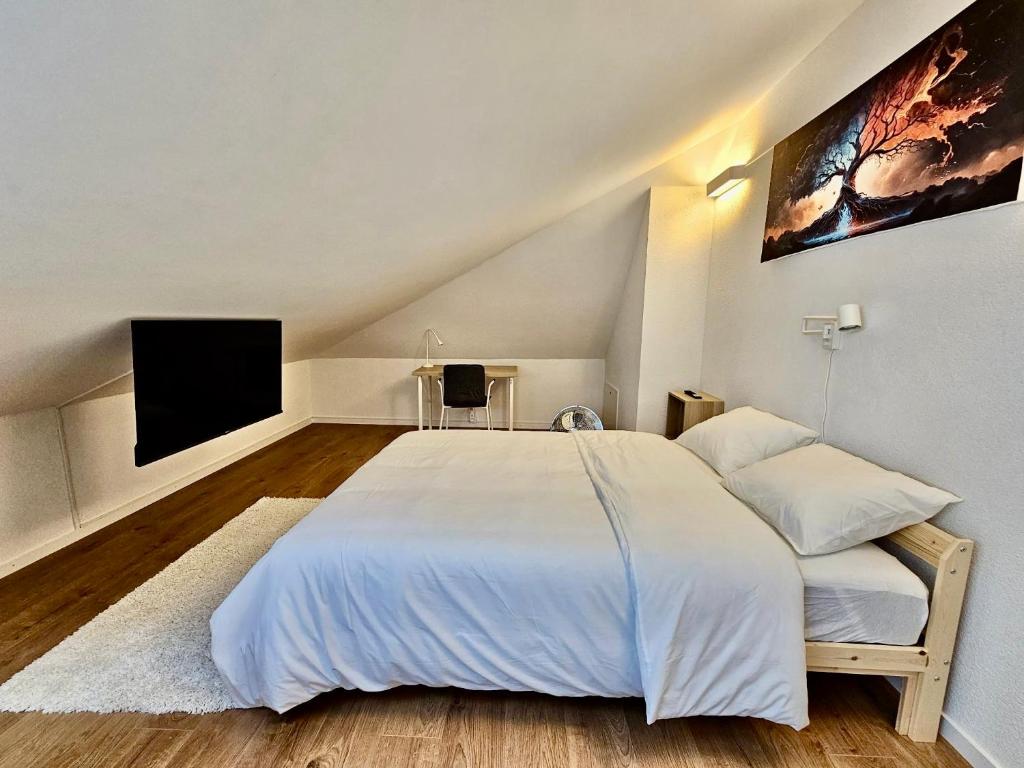 Cosy private room in Lausanne center - Resim 45