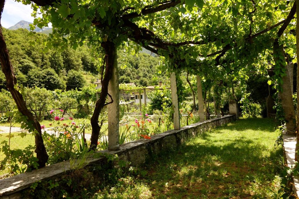 Zahrada ubytování Bed & Breakfast Uvablu