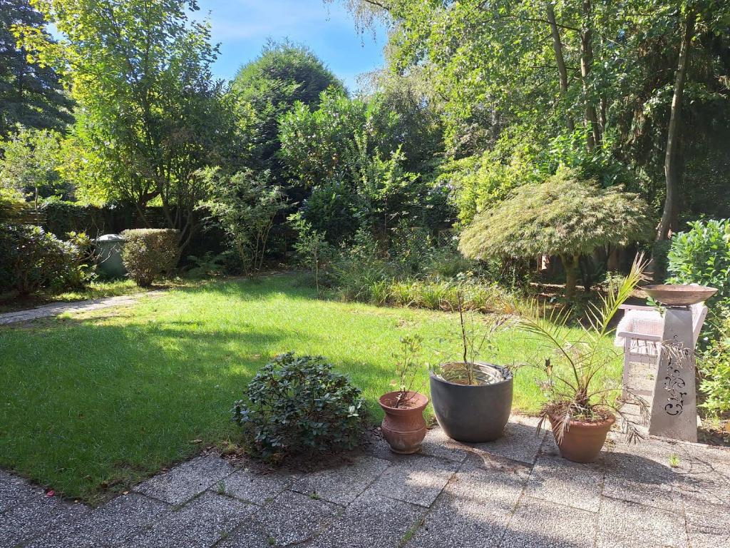 a garden with three potted plants on the ground at Schöner Bungalow Am Venekotensee in Elmpt