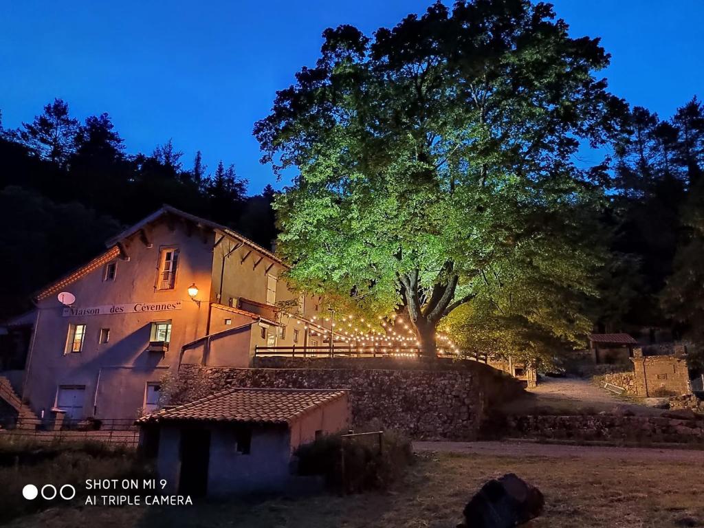 ein Gebäude mit einem Baum in der Nacht davor in der Unterkunft Maison des Cévennes in Arphy