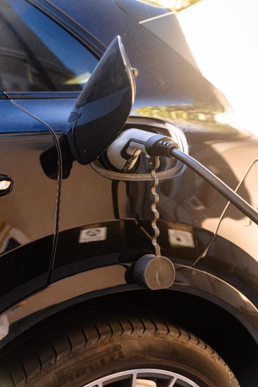 4Cardinals Boutique - Resim 35