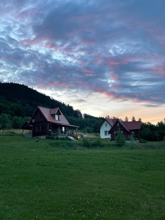 a couple of houses in a grass field at Wzgórze Artystów in Głuszyca