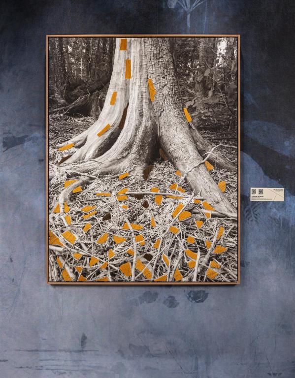 VP SOGNIO Metropolitano - Resim 43