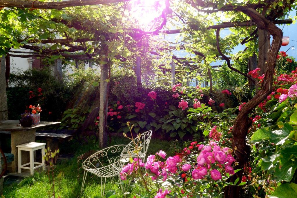 um jardim com flores cor-de-rosa e uma pérgola em Bed & Breakfast Uvablu em Trontano