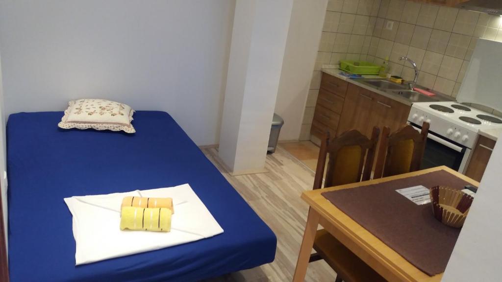 Kuchyň nebo kuchyňský kout v ubytování Apartment Cvijanović