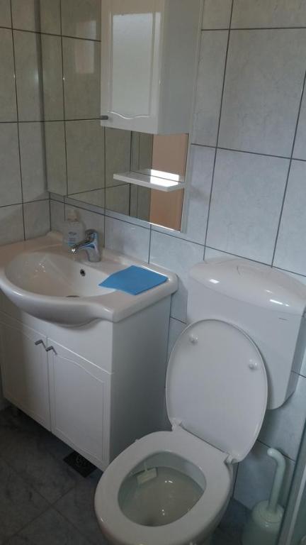 Koupelna v ubytování Apartment Cvijanović